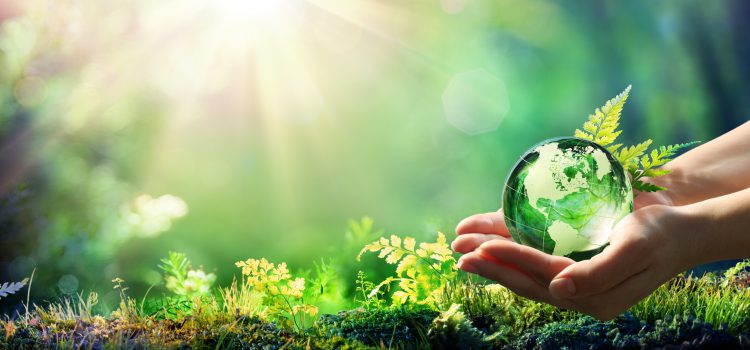 Green Project Policy Green Project Policy