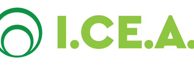 Green Economy Mentoring für junge Start-Ups