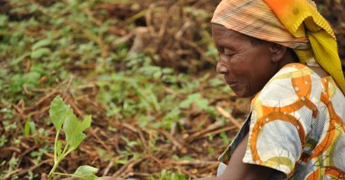 Food should not be a threat to sustainability, but a source of sustainable development.